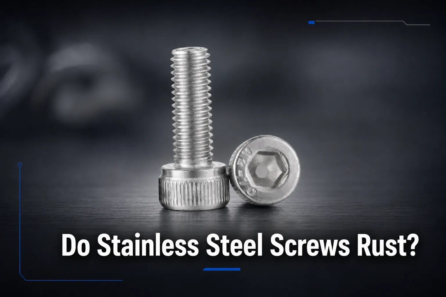 Do Stainless Steel Screws Rust?